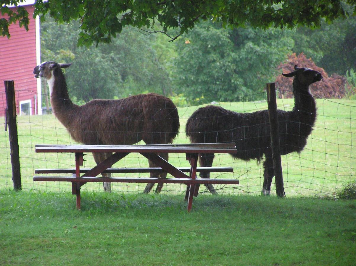 Maple Hill Farm Inn オーガスタ エクステリア 写真